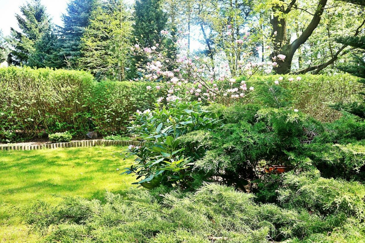 Zielone Pokoje Zielona Gora  Luaran gambar